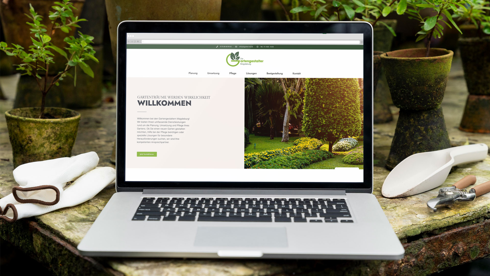 Webdesign Magdeburg